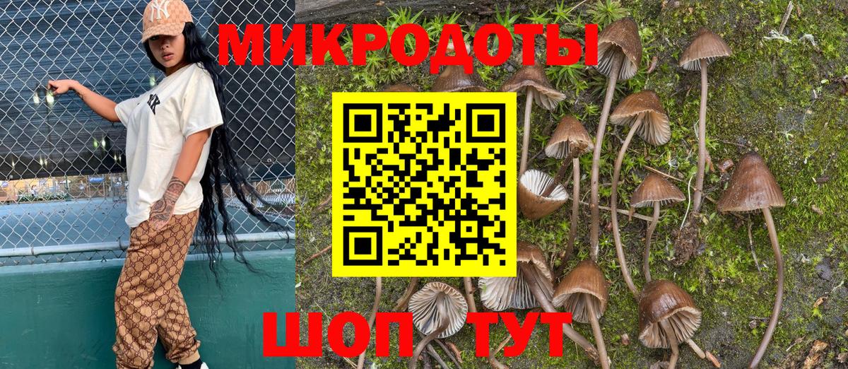 Псилоцибиновые грибы Magic Shrooms Ртищево