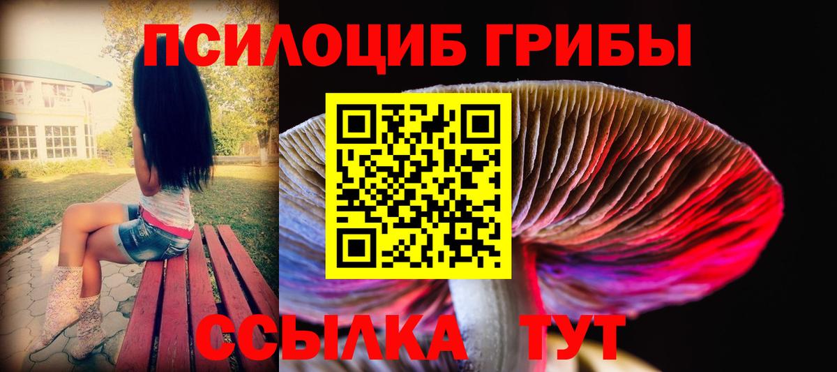 Галлюциногенные грибы прущие грибы  купить  сайты  Ртищево  Вход с VPN 